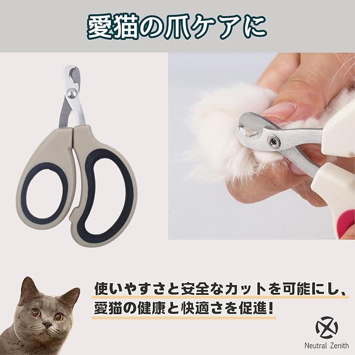 fffff0cffffffff8fff8eff8e7ffc3f8a5e1a5eddffff7ffffffbb3b89a78ffe1c1c1c1c0000b20700a4b30b00000000