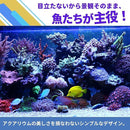 fffff965fe7dffff0220300e0410102416006c0c5380024104008100ffff362422000000a9a19f95bfa6baa6979be9b7