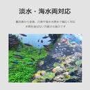 fffffffff7e7ffffefbbffffffffce9bc10bc001c021c00bc021c049c001ffff0000000000eb000000524e8f00559a3a