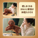 0ff803fe04fe46ffcec9e7d3c6fffffff821f021f021f051f06f607d3e3838301616161516141d141630831c15100713