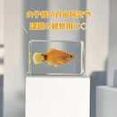 e00ee00ee09ee18ee7cee1cee98ee80e780ef80ef0097ff97ffb4ff90ff90ff91a751e141a932315201e171589121233