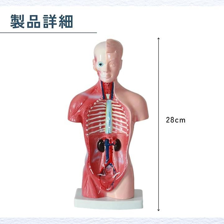 ffffffffbfffff7ffe7ffe7ffe7ffc1ff81ffc3ffe3ffe3ffc3ffc3ffc1fffff979ea09b00000700000020000000fa00