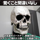 000030ac0000fffffff6fff1fd69fe21fa49fbd8fce0fcd0fa90f970fa1e84180004f9002b2bab000000ab0fb39c109c