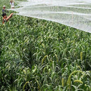 ffffffff7fff03ff033f004700c0000000000000000000000800000400000000