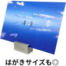 fffffffff20fe001e003f91be15be013c003c003f003f807fc67fffff0fbffff000000000096979a009c9b9b00002ba3