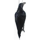 ffffffbffe7ffe7ffc7ffc3ff83ff83ff83ffc7ffc7ffc7ffc7ffefffefffeff0000000000009e000000000000009200