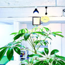 ffffffffffffffffffffff7fff7fff6ffd08f017fb1feb2f27ef099b085c1c44928f909e9895002d6b6b4a8057559684