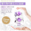 ffffffff8903ffffd6bfffa3bffbff59ff18c7fcc38e8707c79fdf8ffcfbec0000000000c9bc00800000c000001a0000