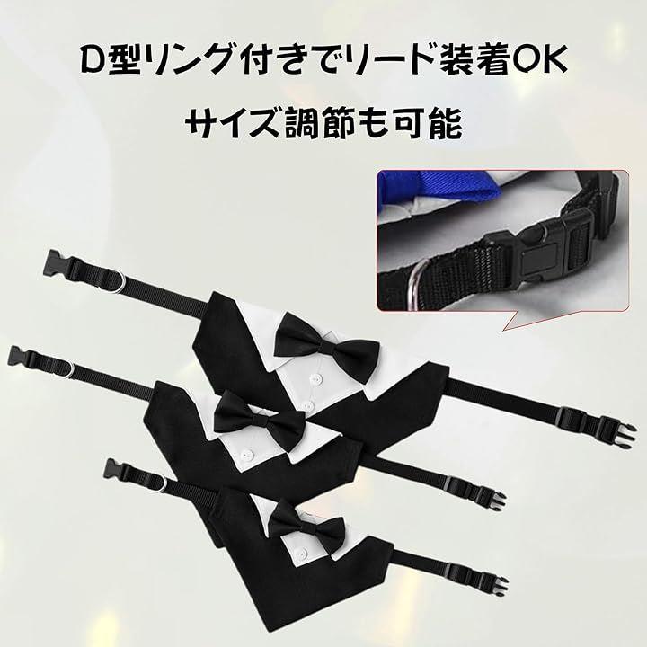 fffffffffffffbbfffffffc6ffc0efc1f8ffb9bff493f23ff06ffc7ffc0ffe7f32323030333030303232336b3d000033