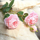 73ff6bff07ff07eb013f003f0e0b0f1f073705c60fc10fe61ff21ffc0ffe89ff1b1a333d2b271a2424ff4bfa1f181f16