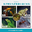 ffffffffd71f80008c00801080208030a006800390a38455c0089005ffff02006b006b00001c2ea46b721c006b3c79a5