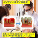 ffffc0a2e7e083d087e087de87dd8fff81c3a1c3e043e1c3fffdffd0c200f04000284721000f1c0900052b23000e070b