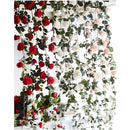 ffff4849159791afaa8ef1dbadfef79eb0ddc627c4e9cf7718a702e70bfe17ff