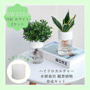 ffffefffc7ff83f7c053e827f83ff87fe777c6038eeb9cdfbff7bfffaffe9d0050505050505249425093971050009ca4