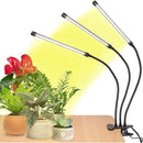 fffffffffef7ffbbf7dffef7fffb8cfd87ff82fb00fe09fb01fb00050c0101810000000000f22b2b00142b2b36292b00