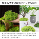 0000aa7300370000000e001f209900fb63cb20fb007e007f0045ffffffffed7f3636363612e93f4e23211fab3636383a