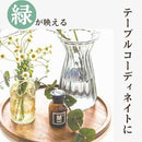 ffffbfff97ffcffffeffbf3ffbdfff3fce1fbe1fc45fcc0fccfffc17401f8c0d00000000000000000000920012143610