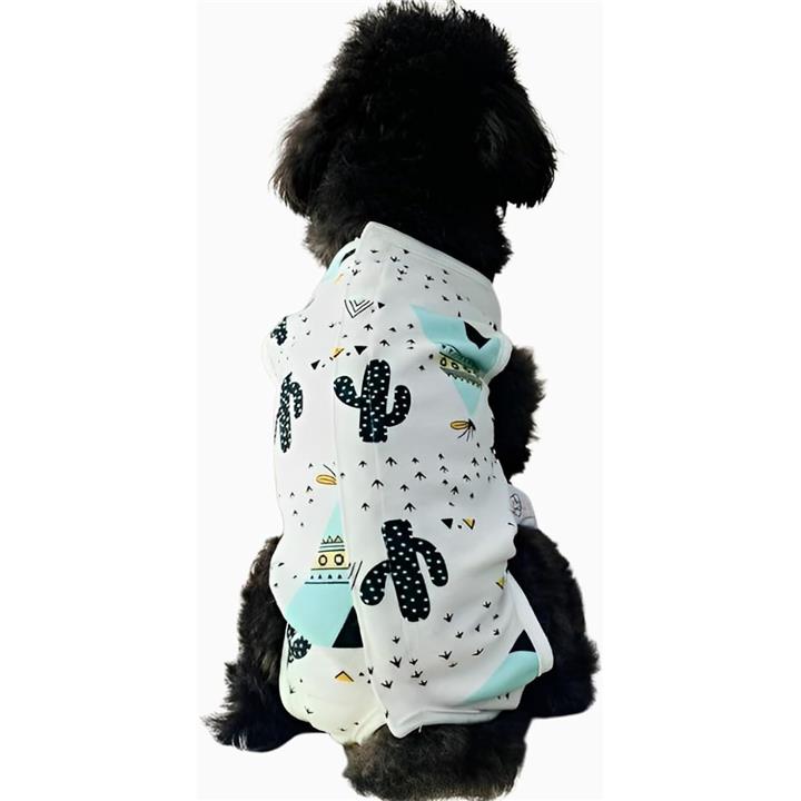 fffffe1ffe1ffc1ffc1ffd1fff3ffe1ffe1fff1ffd1ffb1ffb0ffb0ffb0ffa1f0000220000006b0000008b0000008000