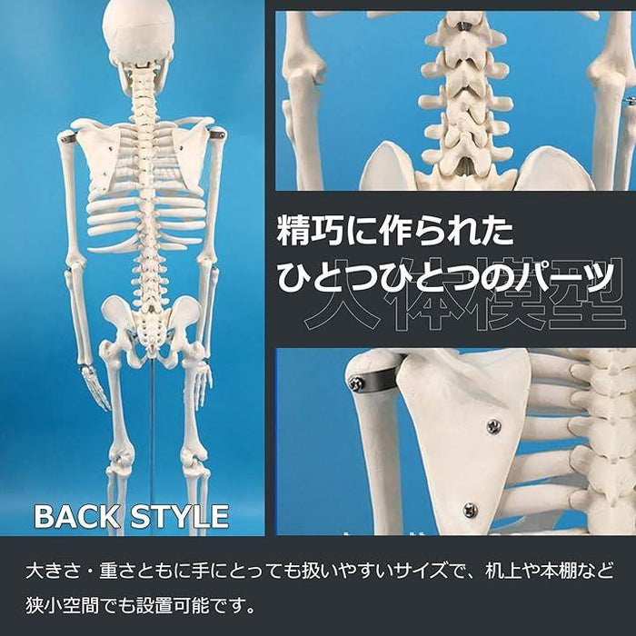 【ギフト】 d08516c33cd9ef12330c6108929554 その他