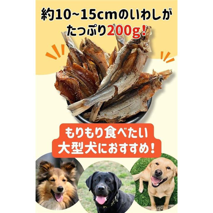 ffff9f1ef5fbfde3e082f047e091e083f007f80feaa3d67987f3326d183f178520202020201a1b13281ac71a2c89293c