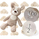 ffff9bfd98daf891fa20fc40fa40c4c0c040d179e13fc3a99dd9f9bdff9ffeff00000000000013152b1013070000001b