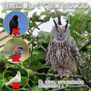 ffffffffffffecf04df0c9c8cff9497ae040c010cc0130000000104035000040003c3c004b9c9e4c25264b6b23495203