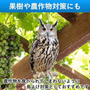 ffffffff0000e3f0300012400fe00440004183e21acf113f224721e141f807fe9292929233353c32323115133215191a