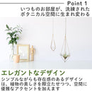 fffffffffffffff8fff8fffcc7fcc7fcc9f8c9e0c1e0e000ffffefffcc4fffff00000000abc7ebc7a232b3a400800000