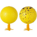 ffffffffffffffffc1c18080808080808080c0c0e3e3f7f7f7f7e7e3ffffffff000000000026002500260025001c001c