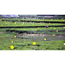 5c007fbc7ff08001fffb9ff0497fc3c2706aa5f0077912727e9d795cf84617f5a1a8a2a43e3944446647009a37414138