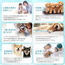 fffff8f5fad0fee097e9fffff081f880b8f797f9b3fffff6fce4dcb5fce7ffff868582848200830086108707851f8207