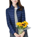 f3bff33ffb1ff10fe10fe00fe107e007e007e187e103e083f003f823f87bf9b3000b0e00009c9c00009d869c009f4327