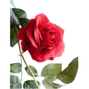 ffffffff1fff0cff007f201f000f000f000fc00fd81fecfd1f0992013b030037