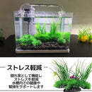 000002c00b1002a013f816bf1200000000000008ffffffffd8e6d9cef7e1cfc41c1a1f221c2ba93a2440b21a0000004e