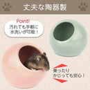 000005300000ffffffe7ebc3bdc3ffc7fbfff0e7f073f07ff85fffffffdfffff1616161612de1258150a124912101413