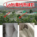 fffffffefffe000000c0098000000000000000001b1e938f918f91eb9bef9ff7