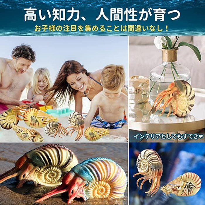 まとめ買い　貝殻　貝殻セット　オウムガイ　マンボウガイ　ホネガイ　アオイガイ フィギュア アンモナイト オウムガイ 貝殻