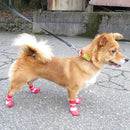 01000000000000003006fff2e7ffe3cff0fff0ffee7fe37ff87fffffffffffff