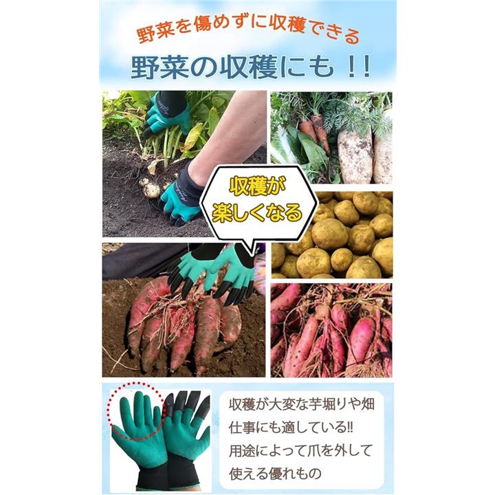 ffffffffd6bfc0c381069a2793bf82f08141807f904980588062d30d83ffe3ff8f909090d56207142bde1c16d50f12fc