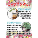 65ec050e43a0dbfffb08de9ff013f0ffe3ffffffffe0fff0ffd0ffe1664b8210d3fcf2004ebc8289000c000000000058