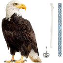 ffffffffe1fdfffdeffde1fdc0ffc07dc07fe07de03de03df03ff47df51fffff00000000001a000000070c0000091500