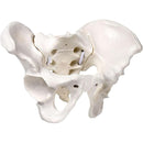 ffffffffffffffffefc7c313c201f003f027f107f00ff95ffcdfffffffffffff000000000000001b0010101300000000