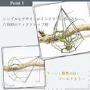 000002ffffebffe7ffdbffd4ffe3ff0afed5ffe3ffe7fd7f857fef7fff7ebf7f99999999808900008989002989123389