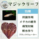 ffffffffdf7fcfffff00810881ff81cb81ffffd983ff81db81ff81ffc33fe7ff39555045306b8d8d1c1c00002b070000