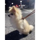 0001000100401e40139f03ffc3fbffeffffffffffeff7dfffc7fc00900070017a9a6a6a29f0c1a22ebf01aebab090619