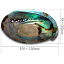 fffffffffffffffff05fc00f800780038003c003e003f01fffffffffffffffff