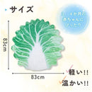 fffffff7ffe1ffe0f861f021e01fa01fc20fe31fe31fe31ffb77ffffffffffff25242424241e6e91256d6d24241e2202