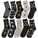 ffffe871da59e13be139e039e873c273efcfc9c3c8c1c001c141c4838b83938700000000009c241200002b2b001a0322