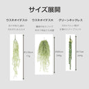 000000000080000000000000000039cc294c284c284e294c39cc39c03800000000000000000000000000370000002c00