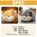 00000340000080bf80b0d9a0c888f6c8ace0808080e2fffffeffff37ffb7ffff1c1c1c1c0013001200290019001e1f1e